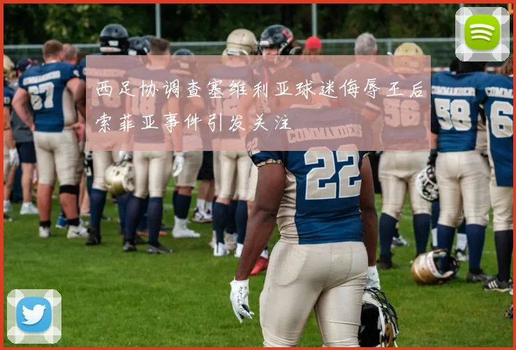 西足协调查塞维利亚球迷侮辱王后索菲亚事件引发关注